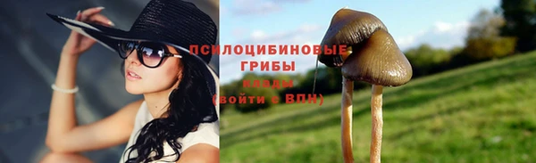 PSILOCYBIN Саяногорск