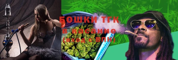 ECSTASY Сатка