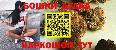 мдпв Гагарин