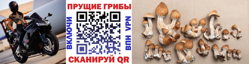 Псилоцибиновые грибы прущие грибы  дарнет шоп  Димитровград 