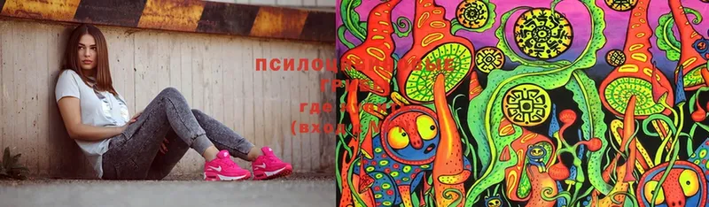 Галлюциногенные грибы мицелий  дарнет шоп  Димитровград 
