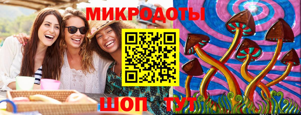 что такое   Вход с VPN  Галлюциногенные грибы мицелий  Димитровград  Галлюциногенные грибы Psilocybe 
